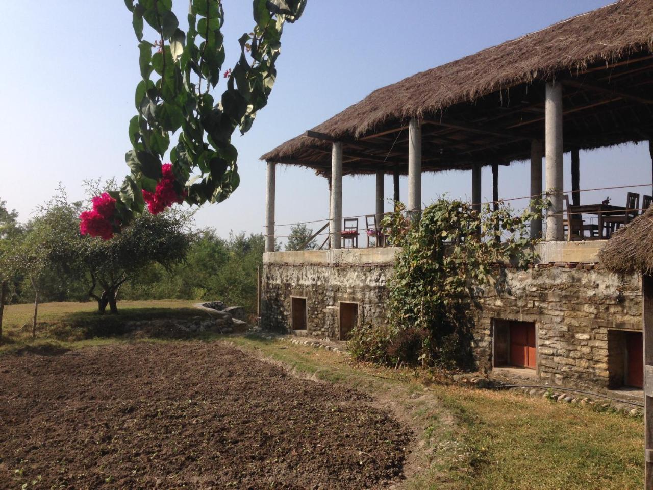 Shanta Ghar A Rustic Guesthouse Chitwan Eksteriør bilde